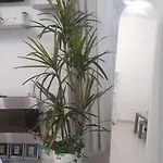 Appartement Sofia House Living In The Heart Of *