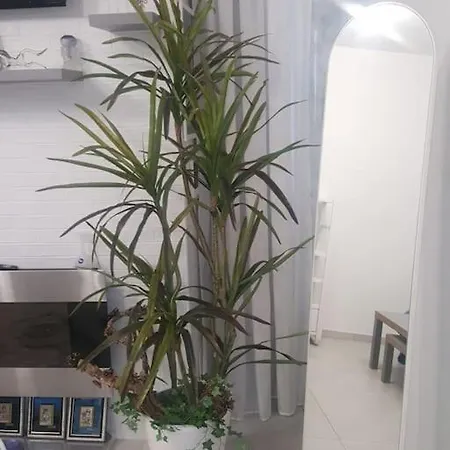 Daire Sofia House Living In The Heart Of *